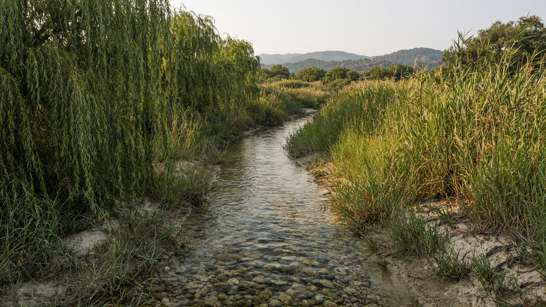 California wetland and creek — the waters storm water programs are written to protect